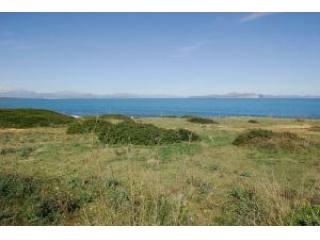 Colonia de San Pedro, urban plots in..