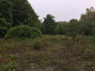 Land For Sale: Route 301 Carmel NY 10579