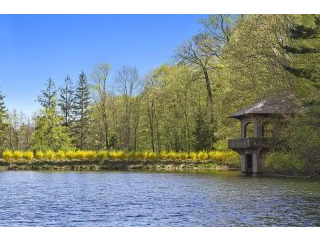 Land For Sale: 767 King Street..