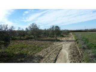 Land - Awaiting further details for..