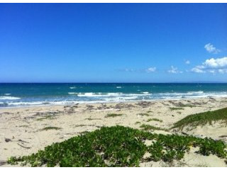 38 Acres Of Beachfront Property In..