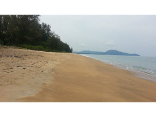 Beachfront Land 14 Rai in Maikhao