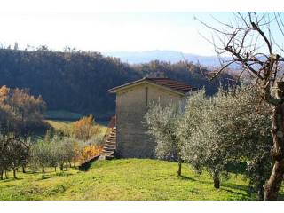 Small rustic house on a beautiful..