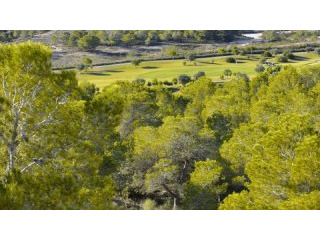 Land For Sale In Campoamor Spsnb0989
