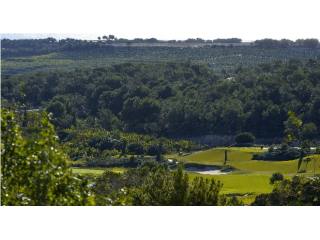 Plots for sale in Campoamor