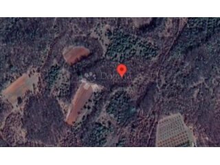 POLJOPRIVREDNO ZEMLJIŠTE 11592M2 - VODNJAN