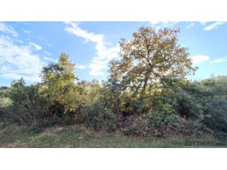 Peroj - vikend zemljište 330m2