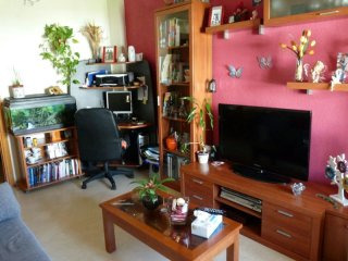 Affordable and enchanting apartment.