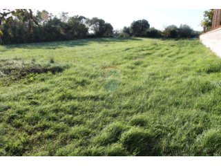 ISTRA, LIŽNJAN, GRAĐEVINSKO ZEMLJIŠTE 1823 m2