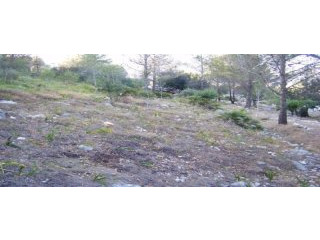 - Land - Alicante - For Sale