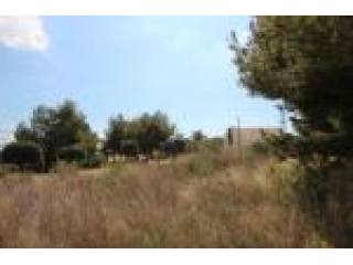 Plot, Alicante (Costa Blanca), La..