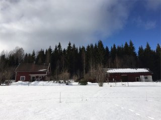 Eksharad, Hagfors