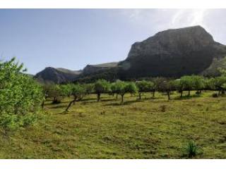 Colonia de San Pedro, finca plot for..