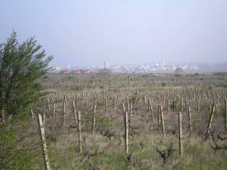 Land for sale in Sunny Beach