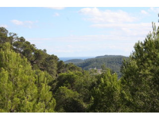 3 Bedrooms - Property - Ibiza - For Sale