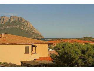 1 Bedroom - Apartment - For Sale