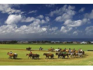 Property For Sale: Apes Hill I - 26..