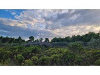 Poljoprivredno zemljište 13472 m2- Milna,Brač