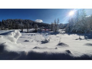 Stara Sušica - poljoprivredni teren