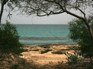 Land in Paphos, Cyprus, for Sale -..