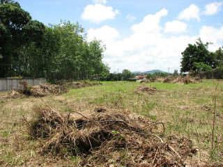 1.5 Rai Land for Sale in Pasak Area