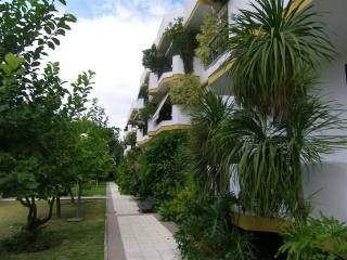 Apartment - A huge 4 bedroom, 2..