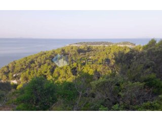 Korčula, Blato, 30.526 m2, južna strana, mogućnost gradnje