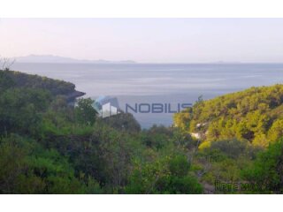 Korčula, Blato, 60.000 m2, južna strana, mogućnost gradnje