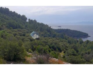 Korčula, Blato, 80.567 m2, južna strana, mogućnost gradnje