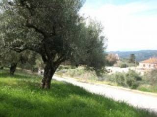 Land Property For Sale In Crete