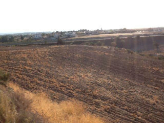 Land - Paphos - For Sale