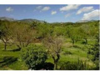 4 Bedrooms - Finca - For Sale