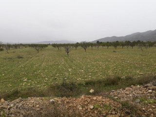 Large Building plot near Pinoso (Ref...