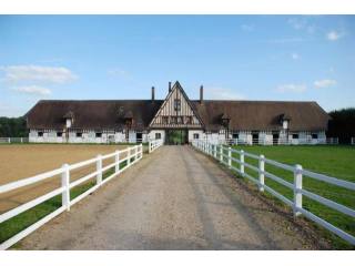 Equestrian For Sale: 60000 OISE