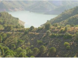 Building Plot for sale in The Golden..