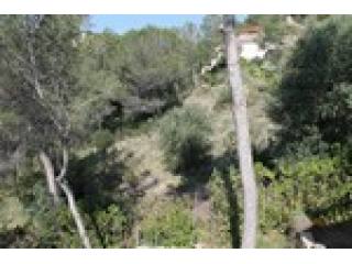 - Land - For Sale