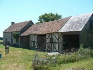 House with Grand Volumes to Play With