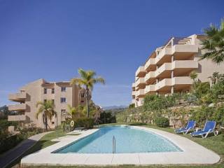Apartment - 2/3 Bedrooms - 2 Baths..