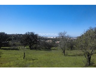 6000m2 Plot In Betunes With Views Of..