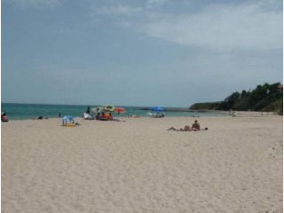 1 BED apartment on the beach in..