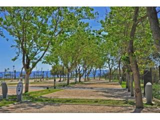 Front Line Beach Plot