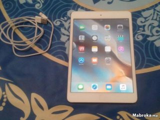 IPad mini 16 gb Wifi avec cable..