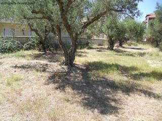 Land - Zakynthos - For Sale