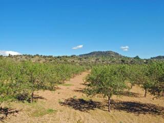 Building plot in fabulous location