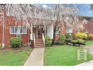 4 bedroom Apartment For Sale: 1319..