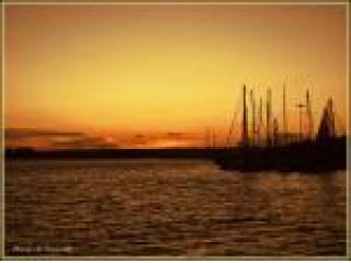 Apartment, Alicante (Costa Blanca), Los..
