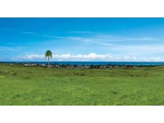 Property For Sale: Adams Castle..