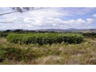 Farm In Rio San Juan With 55.000..