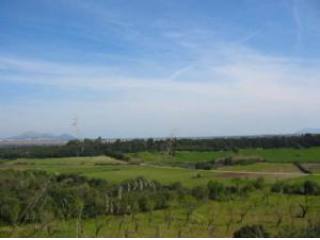 Finca plot near Muro