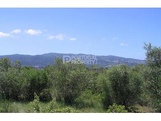 A Plot of Land in Great Location